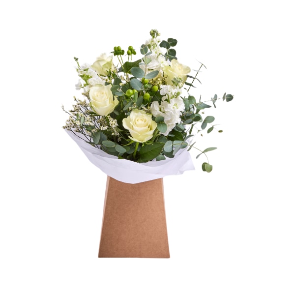 FLOWERS & PLANTS